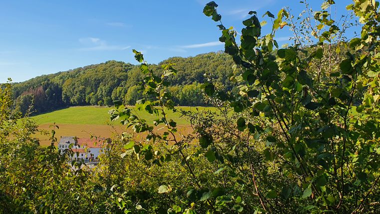 View of an old farmhouse in the valley, surrounded by trees and meadows.