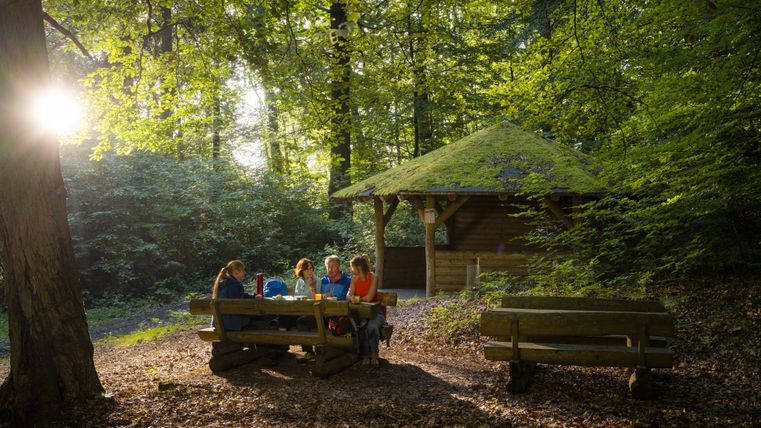 Vier mensen zitten aan een houten tafel in het bos naast een hut met een mosdak.
