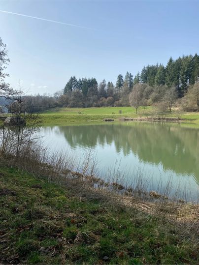 Ein ruhiger Stausee mit klarem Wasser, umgeben von grünen Wiesen und einem Wald im Hintergrund unter einem blauen Himmel.