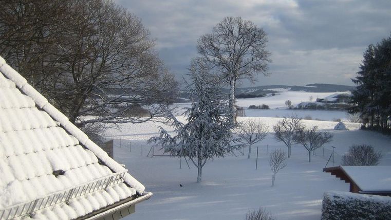 A snowy landscape with trees and a cloudy sky. In the foreground, a roof covered in snow is visible.