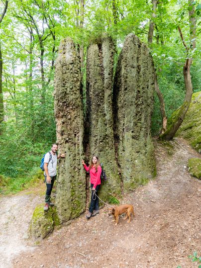 ein Paar mit Hund macht schaut sich spannende Felsen an