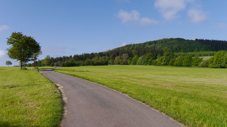Asphalted path through green meadows with trees and hills in the background under a blue sky.