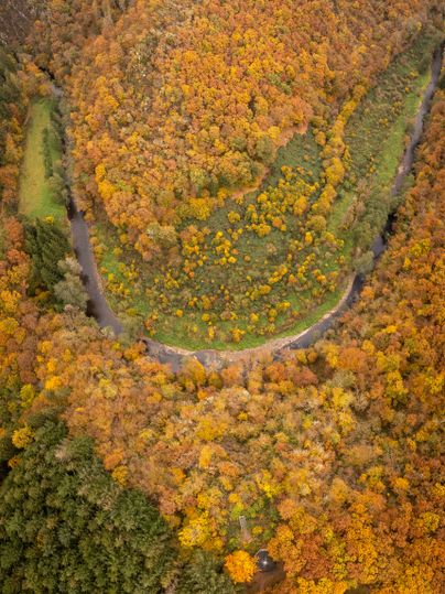 Flussschleife der Lieser im herbstlichen Wald