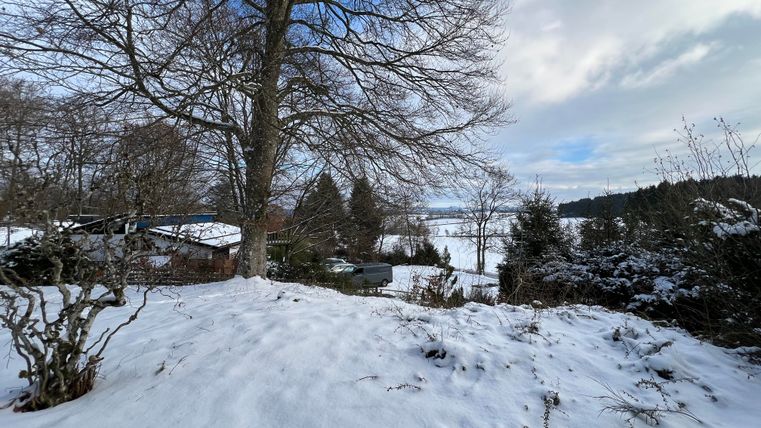 Eine verschneite Landschaft mit einem großen Baum im Vordergrund. Im Hintergrund sind Hügel und Bäume zu sehen.