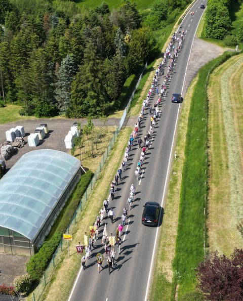 Eine Gruppe von Menschen geht auf einer Straße entlang, umgeben von Bäumen und Feldern. Rechts ist ein Gewächshaus und einige Fahrzeuge sind unterwegs.
