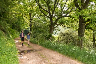 Zwei Wanderer gehen einen schmalen, von Bäumen gesäumten Waldweg entlang. Der Weg ist unbefestigt und von grüner Vegetation gesäumt, das Blätterdach spendet Schatten. Die Szene vermittelt eine ruhige, naturnahe Atmosphäre im Sommer.