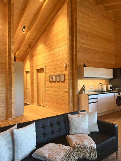 Ein modernes, helles Wohnzimmer mit Holzverkleidung und einer bequemen Couch. Die offene Küche ist gut ausgestattet und fügt sich harmonisch in den Raum ein.