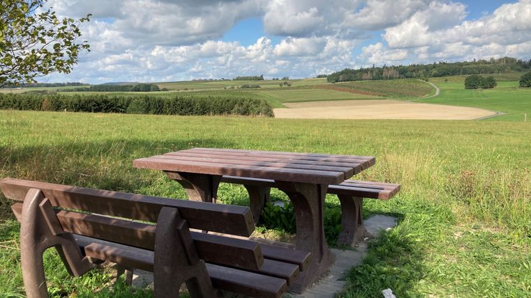 Wooden table and benches on a meadow with a wide view over fields and hills under a cloudy sky.