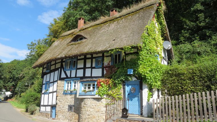 Een traditioneel vakwerkhuis met rieten dak en klimop in een landelijke omgeving.