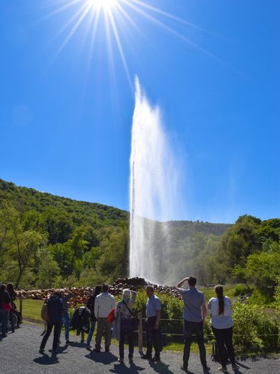 A geyser erupts high into the sky, surrounded by green hills. A group of people watches the spectacle with fascination under a bright blue sky. They find this event occurs approximately every 120 minutes in Andernach Namedy. Visit only possible in combination with boat transport (restricted nature reserve).