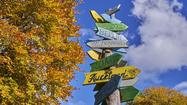 A wooden signpost with colorful signs indicates directions to various cities. The autumn leaves in the background give the scene a warm feeling.