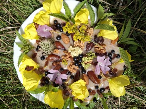 Ein schön arrangierter Teller mit einer Auswahl an Nüssen, Trockenfrüchten und essbaren Blüten. Die frischen Gelbtöne und bunten Blumen verleihen dem Gericht eine ansprechende Optik.