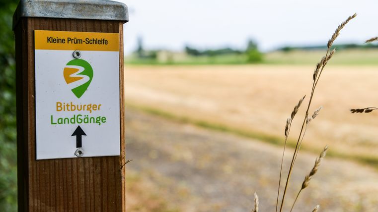 Wegweiser der Bitburger LandGänge mit der Aufschrift 'Kleine Prüm-Schleife' in einer ländlichen Umgebung.