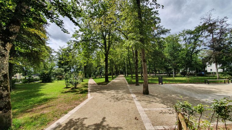 Ein Weg durch ein grünes Wäldchen mit Bäumen und Rasenflächen.