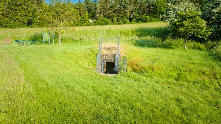 Prairie verte avec une petite entrée en briques, entourée d'arbres et d'une table avec des bancs.