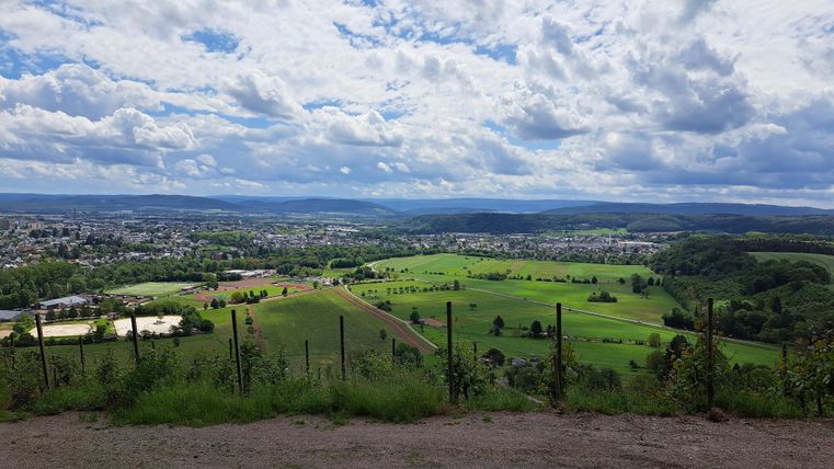 A wide landscape with green meadows and a view of the city in the background. The sky is cloudy and conveys a calm atmosphere.