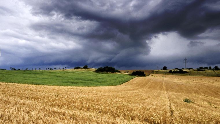 La vue depuis le chemin du crime sur un champ avec des nuages sombres à l'arrière-plan