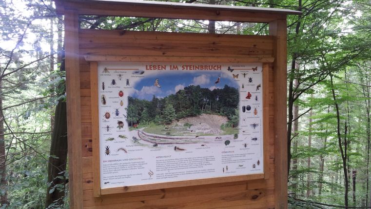 Panneau d'information dans la forêt sur la vie dans la carrière avec des illustrations d'animaux et de plantes.