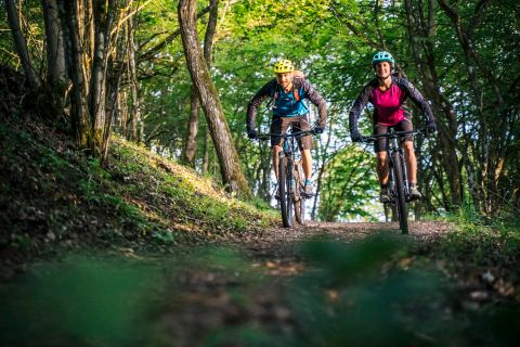 Two female cyclists are riding on a forest path. Around them are green trees and a sunny atmosphere.
