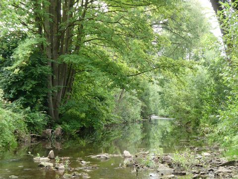 Ein historisches Gebäude mit Türmen und mehreren Fenstern steht am Ufer eines ruhigen Gewässers. Der Garten ist grün und lädt zur Erholung ein.