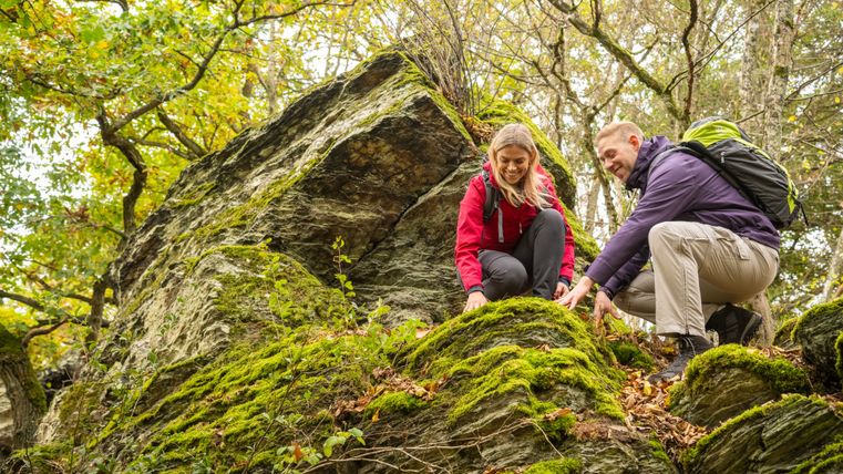 Zwei Wanderer klettern auf einem moosbedeckten Felsen im Wald.