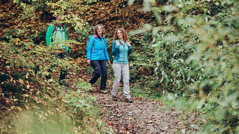 Trois randonneurs avec des sacs à dos marchent sur un chemin forestier automnal entre d'épais feuillages verts et colorés.