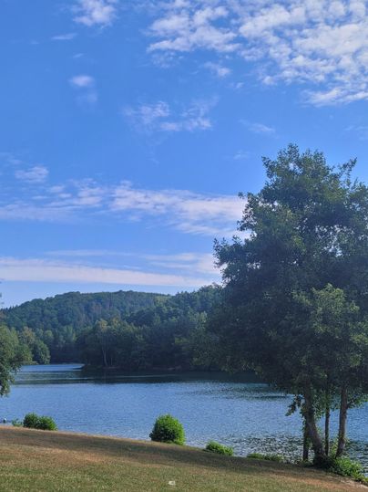 Un matin d'été au lac de Freilingen