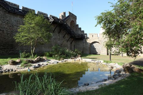 Stadtmauer Hillesheim mit kleinem Biotop im Vordergrund.