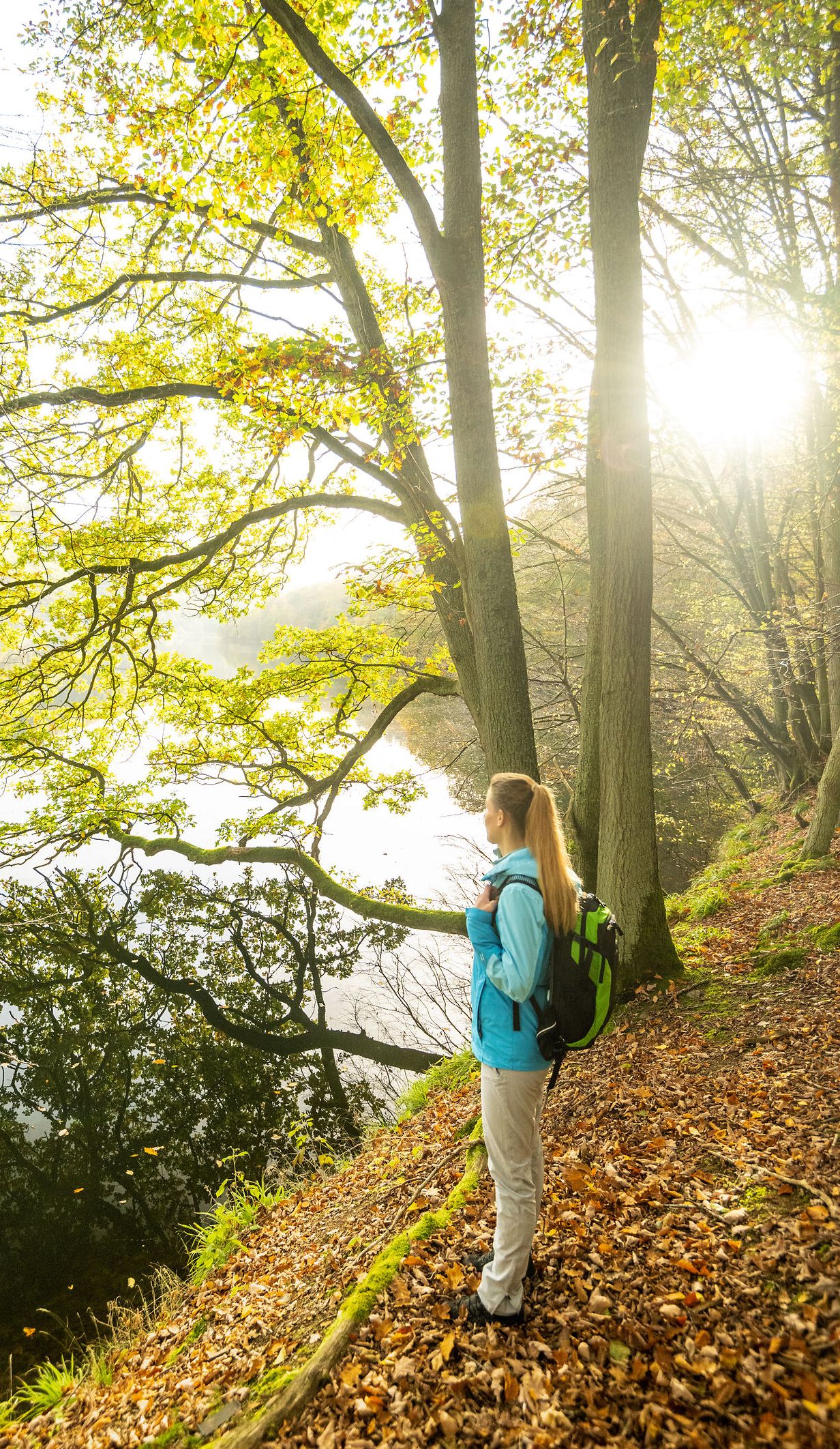 Eine Frau steht an einem Baum und schaut in die Landschaft