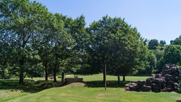Grüne Wiese mit Bäumen und Steinhaufen im Naturzentrum Eifel.