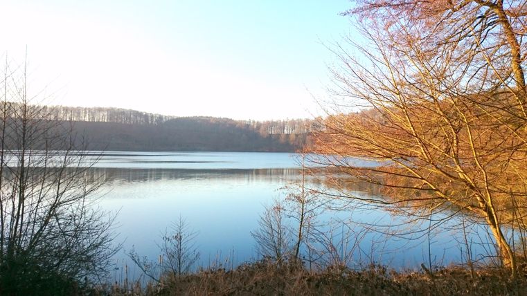 Een rustige vijver omringd door bomen in de herfst. Het water weerspiegelt het landschap en de heldere lucht.