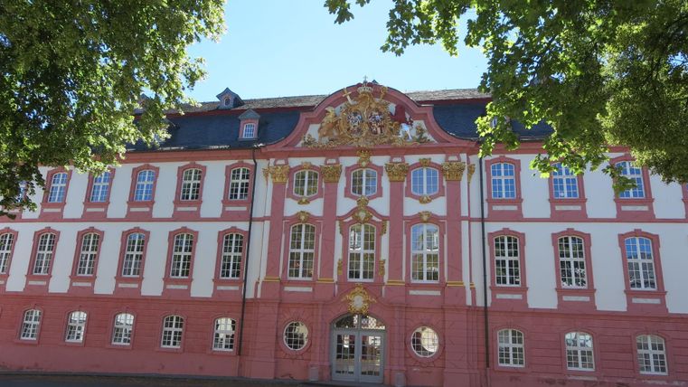 A historic building with a pink façade and intricate embellishments. Surrounded by trees and a clear sky.