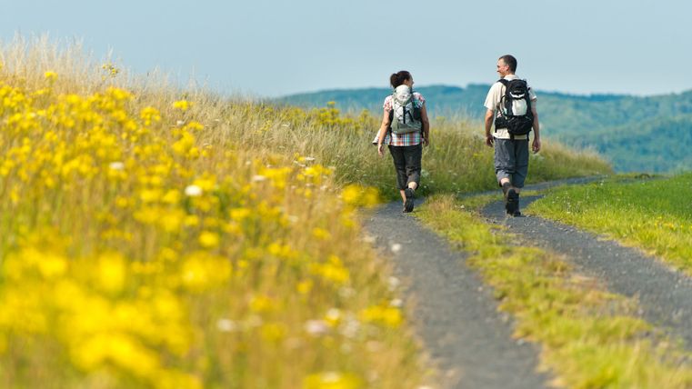 Twee wandelaars op een pad in de Eifel, omringd door gele bloemen en groene heuvels.