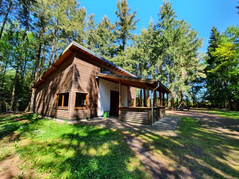 Holzhütte im Wald mit blauen Himmel.