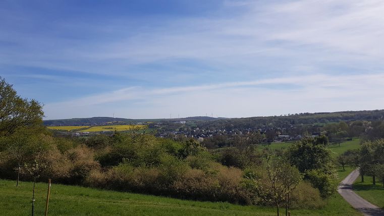 Een schilderachtig landschap met zachte heuvels, bomen en een heldere lucht. Op de achtergrond zijn kleine huizen en velden zichtbaar.