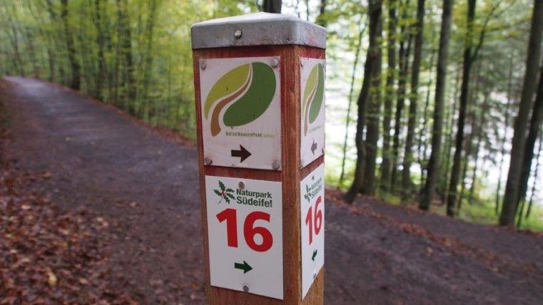 Panneau indicateur dans le parc naturel Südeifel avec Route 16 dans la forêt.