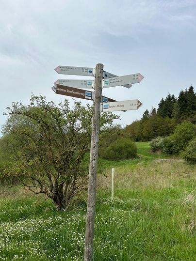 Talrijke wandelingen kunnen vanuit Ellscheid worden gestart.