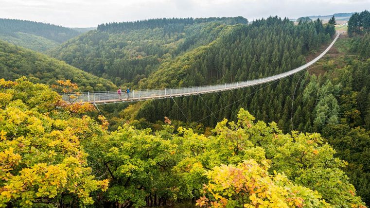 Een smalle hangbrug van touw steekt een pittoresk dal over met groene bossen. De bomen tonen herfstkleuren en de omgeving is rustig en uitnodigend.