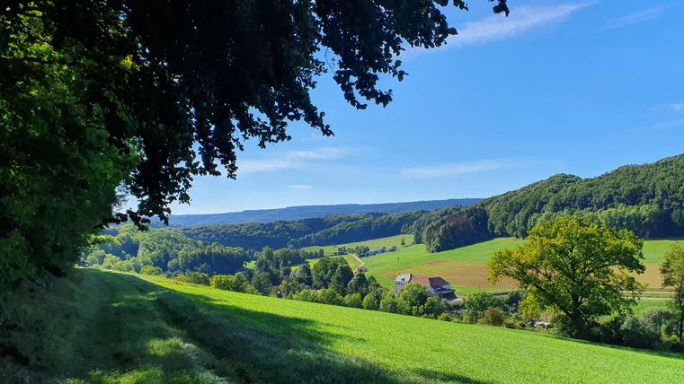 Panoramic view over the Enz valley with green meadows and forests under a blue sky.