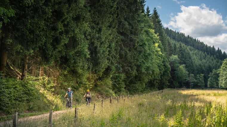 Two cyclists on a forest path in the Prethbach valley, surrounded by tall trees and meadows.