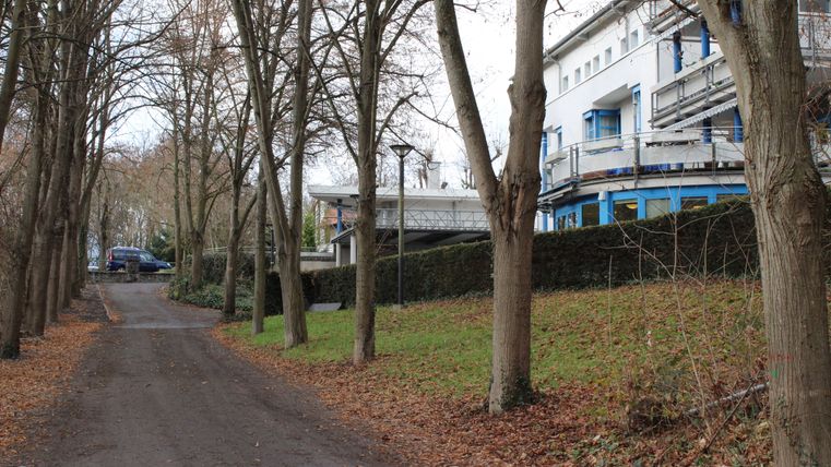 An avenue of trees, the exterior view of the building to the side