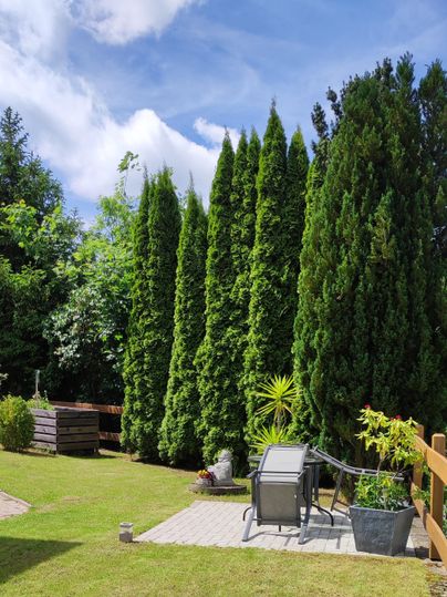 Een verzorgde tuin met hoge cypressen en een zonnig stuk. Op de voorgrond staat een tuinstoel naast een plant.