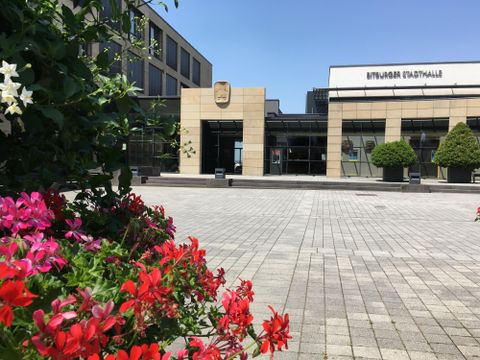 Ein klarer Platz vor einem modernen Gebäude mit einer schönen Pflanzenarrangement. Die Sonne scheint und der Himmel ist blau.