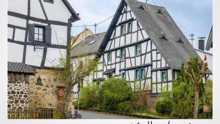 Un village pittoresque avec des maisons à colombages traditionnelles. Un feuillage vert et un tronçon de rue tranquille donnent du charme à la scène.