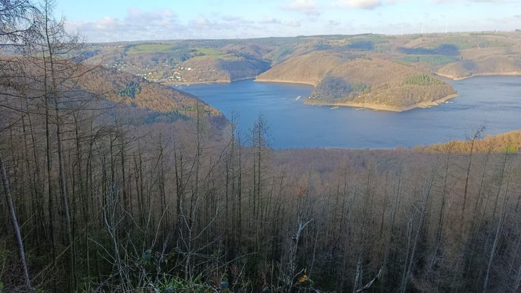 Une vue pittoresque sur un lac, entouré de douces collines et d'arbres nus. Le ciel est partiellement nuageux et le paysage dégage une paix tranquille.