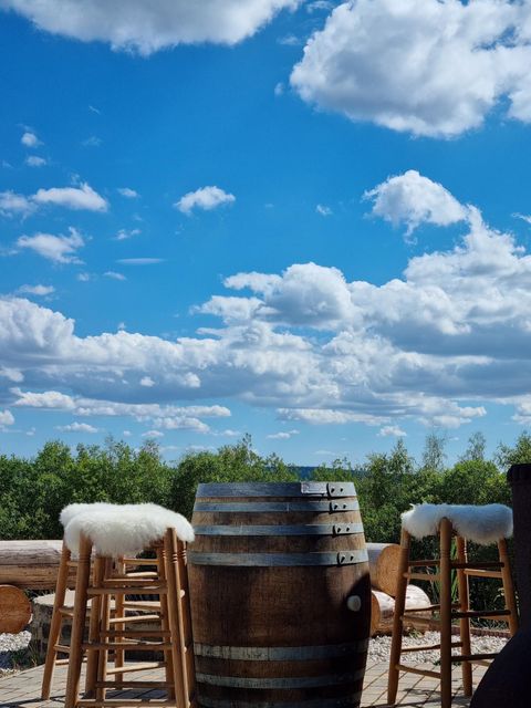 Een wijnwinkel met meerdere rekken gevuld met wijnflessen. Op de voorgrond staan enkele wijnflessen en druiven.