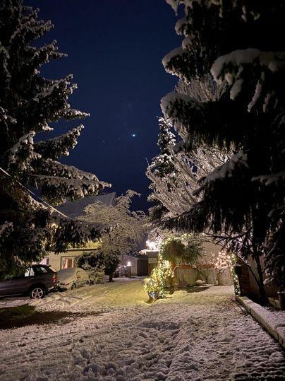 Een winterlandschap met met sneeuw bedekte bomen en een verlicht tuin. De nachtelijke hemel is helder en het is stil en vredig.