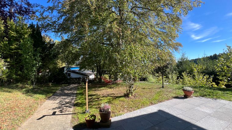 Ein schöner Garten mit einem großen Baum und klarem, blauem Himmel. Der Weg führt durch das grüne Gras zu einem Haus im Hintergrund.