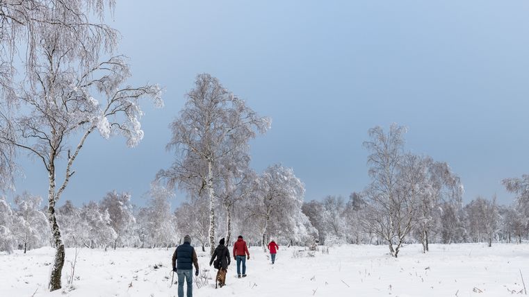 Des personnes se promènent dans la neige sur la route Struffelt, entourées d'arbres enneigés.
