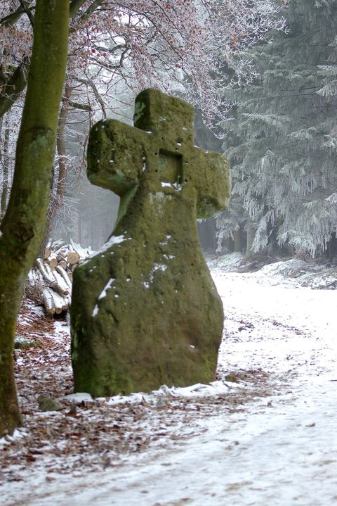 Een oude steen in kruisvorm staat aan de rand van een met sneeuw bedekt pad. Omringd door bomen en een rustige, winterse landschap.